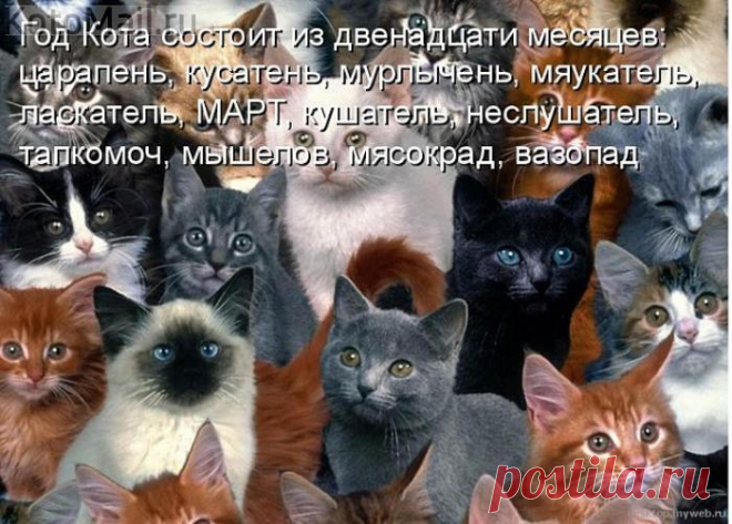 Котябрь. | KotoMail.ru