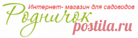 Гвоздика турецкая Фиолетовая купить