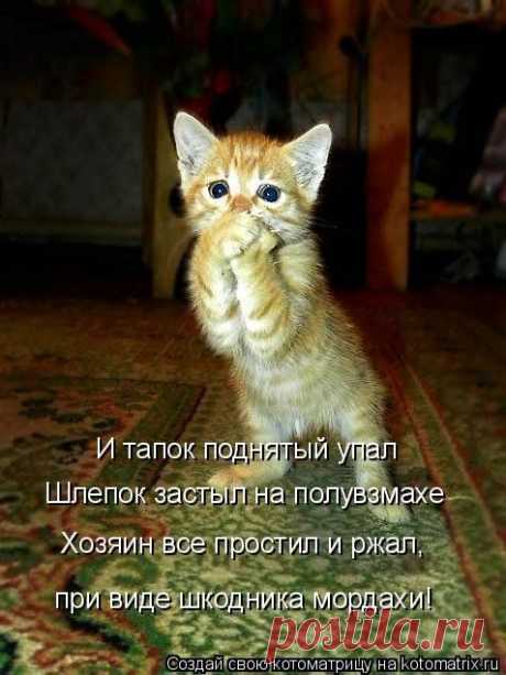 галерея фотоприколов