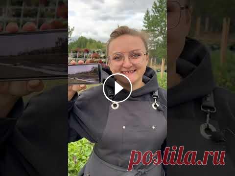 Дача Семена Алтая! #сад #огород #дача Дача Семена Алтая! #сад #огород #дача...