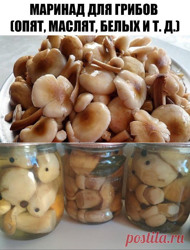(81) Одноклассники