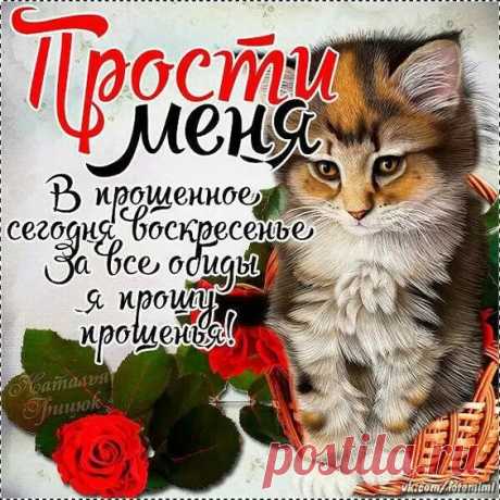 Я прошу меня, пожалуйста, простить,
Вдруг, случилось что-то натворить.
Ведь сегодня прощеное воскресенье.
Желаю найти в прощении спасенье.