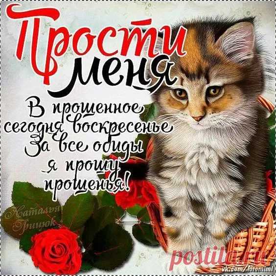 Я прошу меня, пожалуйста, простить,
Вдруг, случилось что-то натворить.
Ведь сегодня прощеное воскресенье.
Желаю найти в прощении спасенье.