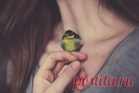 Основа человеческого бытия - познание окружающего мира, без которого невозможна осмысленная и содержательная жизнь. Стремясь к постижению внутренней сути вещей, а также их взаимосвязи в мироздании, человек обретает свое бытие. Только таким путем он может выполнить свое предназначение - быть человеком в полном смысле слова. Для того и дана ему жизнь.
Али Апшерони