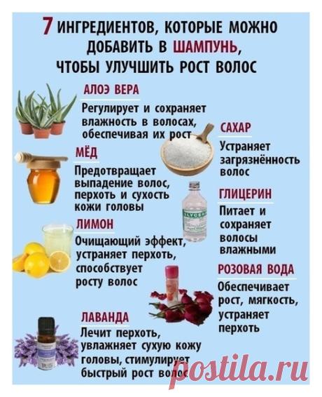 Я Люблю ЗОЖ