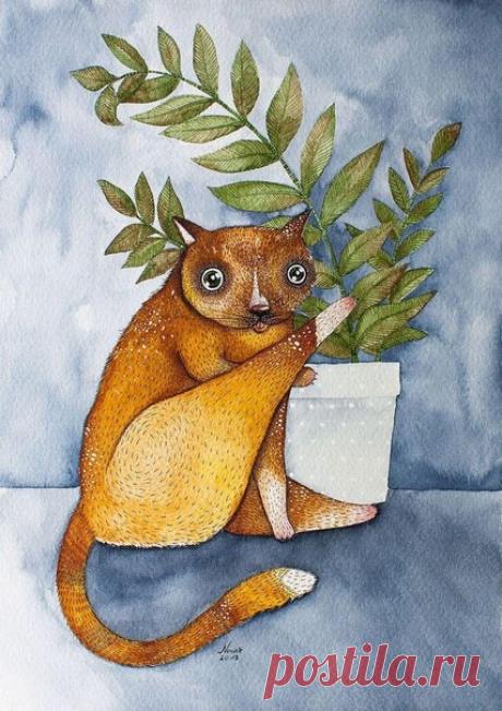 Котики Норы - СЧАСТЬЕ ЕСТЬ! Философия. Мудрость. Книги. — ЖЖ