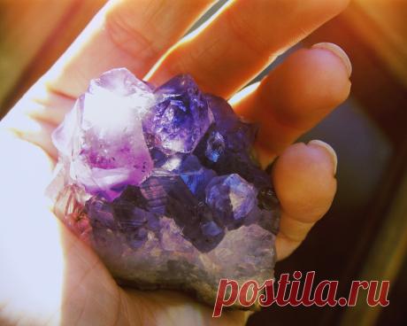 Survival of the Strangest