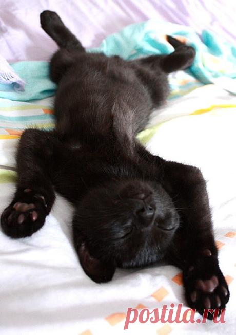 zz..zzzz.zzz | Flickr - Photo Sharing!