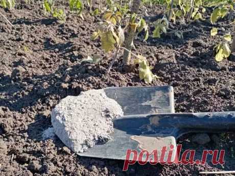 Этот способ ваш компост работать в 2 раза: дачники в восторге. Вы копите кухонные отходы месяцами, а компостная куча всё ещё похожа на груду мусора?