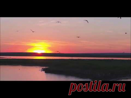 Доброго утра, прекрасного дня под чудесную музыку