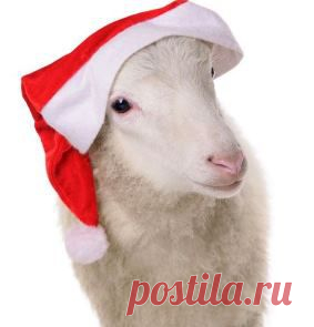 Новый 2015 год Козы (Овцы) - что нам принесет? | Советы Народной Мудрости