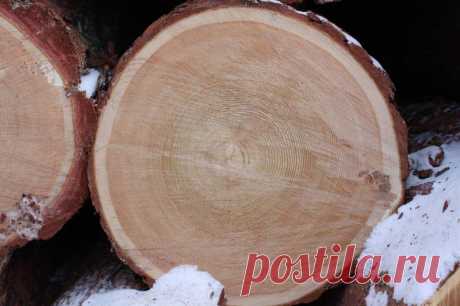 Продаем лес кругояк сосна 
г.Ревда 
от 18-60см.
обьем; 4000 куб
Возможна доставка своим лесовозом.34 куб
погрузка на ваш.
Цена; 2750 руб.куб.
наличный расчет,предоплата .
выборка 22.24.26.30.
https://special-service.info/
frizen196910@mail.ru
89045471839