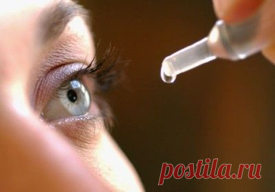 Аллергия на амброзию: бьем противника его же оружием | Онлайн-журнал "Аллергика"