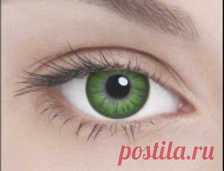 Цветные линзы adria glamorous, green, Adria – купить по цене 895 руб: артикул 1242245 | Интернет-магазин Bellore.ru