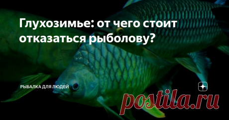 Глухозимье: от чего стоит отказаться рыболову? Нет, не от рыбалки! Первое, что нужно сделать в разгар зимнего сезона – это отказаться от поисков рыбы в мелких непроточных прудах с илистым дном. Недостаток кислорода в середине зимы сказывается, в первую очередь, на...