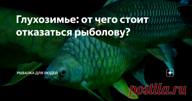 Глухозимье: от чего стоит отказаться рыболову? Нет, не от рыбалки! Первое, что нужно сделать в разгар зимнего сезона – это отказаться от поисков рыбы в мелких непроточных прудах с илистым дном. Недостаток кислорода в середине зимы сказывается, в первую очередь, на...