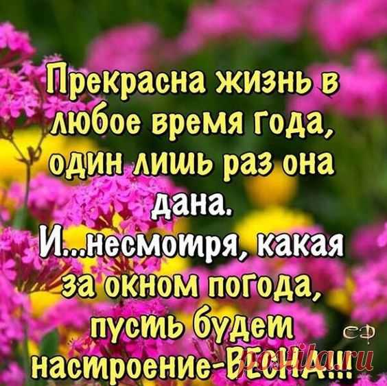 Фотоальбом Разное группы Красивые открытки