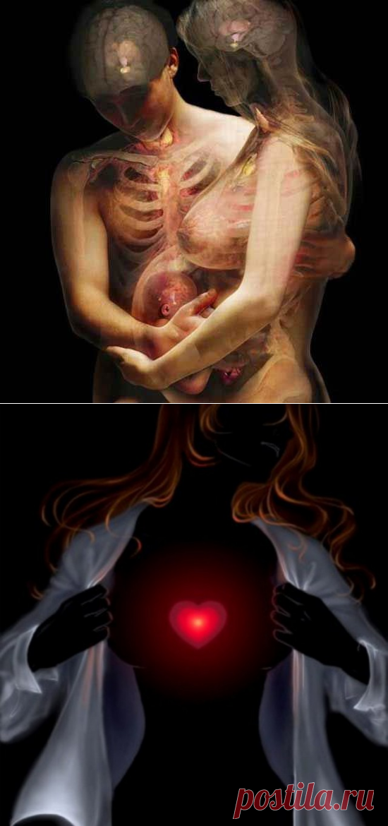 Любопытные факты о женском теле… Отличия женского тела от мужского | LivePosts — последние новости, полезные статьи, обзоры