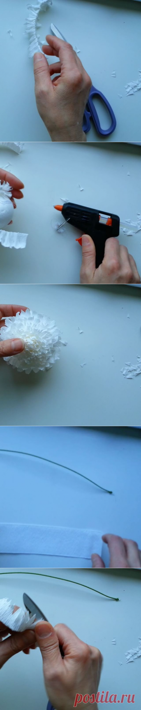 Valentina Moraliyska (@valentinasflowers) • Фото и видео в Instagram