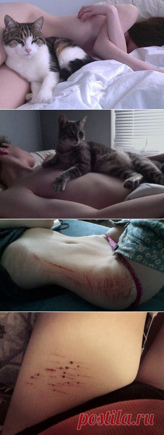 А я ведь никому не рассказываю 
О том, что творится у меня внутри. Просто я не могу. 
Да и не вижу в этом смысла. 
Я не хочу чтобы меня жалели. 
Но иногда, так хочется рассказать все, и даже не важно кому, главное просто рассказать.