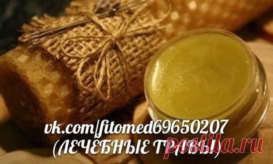 🍃 БЕСЦЕННЫЙ ГРУЗИНСКИЙ РЕЦЕПТ МАЗИ ОТ РАН И КОЖНЫХ
Тебе понадобится:
200 мл оливкового масла;
100 г натурального пчелиного воска;
100 г смолы хвойных деревьев (сосны, ели, кедра);
2 ст. л. мёда;
1-2 г прополиса.