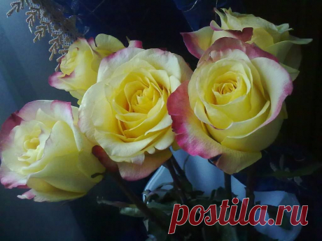 (3) Facebook