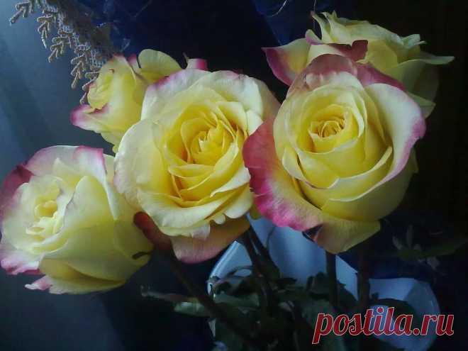 (3) Facebook