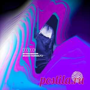 Introversion - Shake Yourself EP [SUARA546] - HypeDJ.top