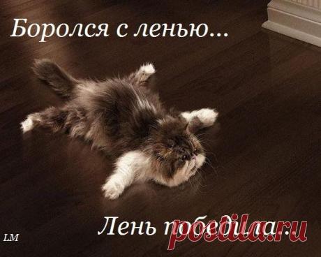 группы | Фотографии LIFE AND LOVE | 9861 фото | Группы Мой Мир