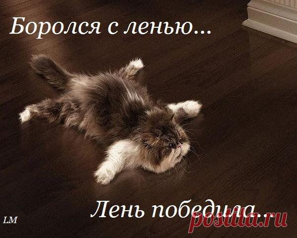 группы | Фотографии LIFE AND LOVE | 9861 фото | Группы Мой Мир