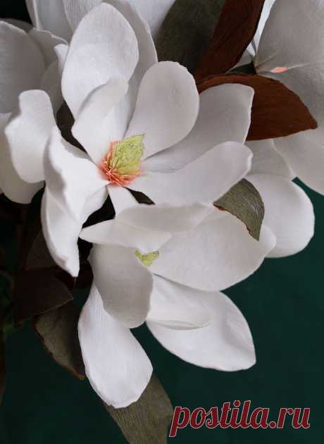 Magnolia Paper Flower Tutorial from Flowersmith by Jennifer TranWorld News | World News