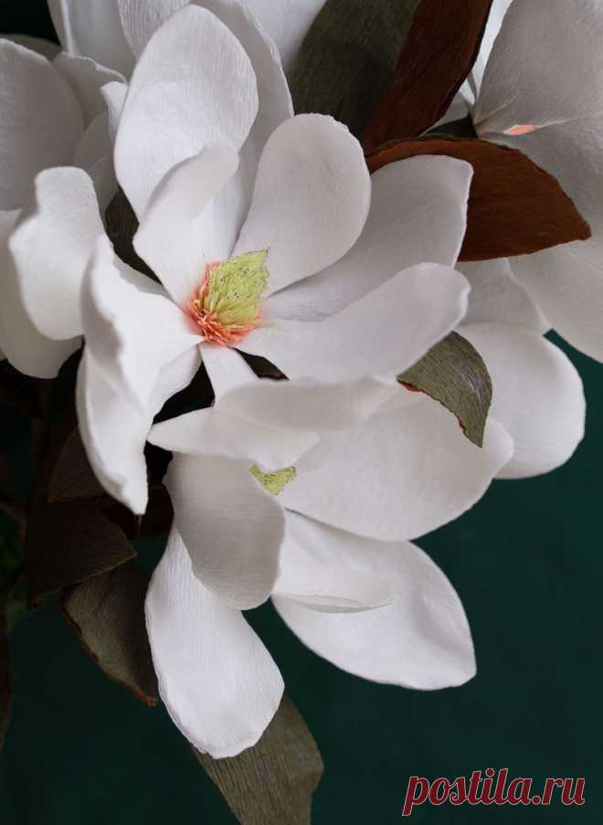 Magnolia Paper Flower Tutorial from Flowersmith by Jennifer TranWorld News | World News