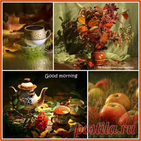 (98) Andreea Petcu(oceanflower1) video creations