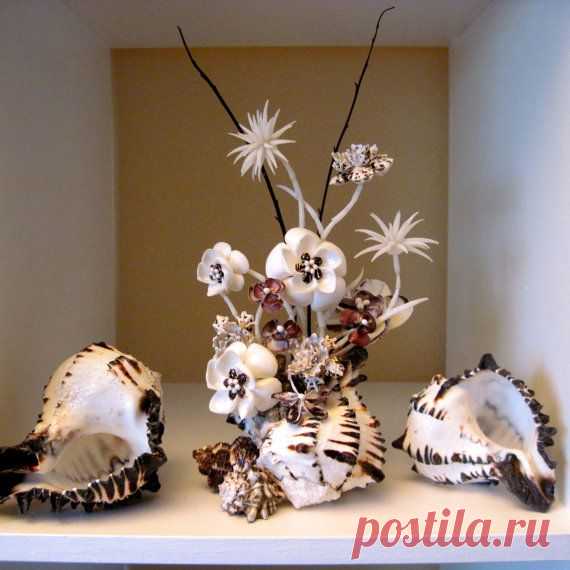 Красота из ракушек.