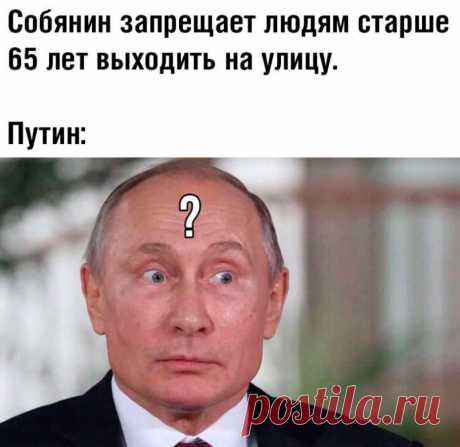 Почему мы не доверяем государству? | Путь к свободе | Дзен