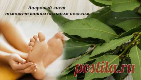 Лавровый лист лечит ноги и суставы. Все просто