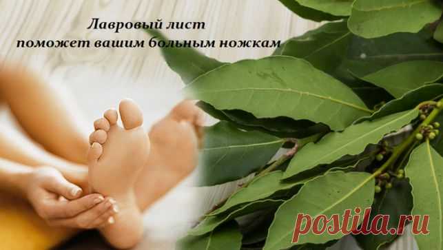 Лавровый лист лечит ноги и суставы. Все просто