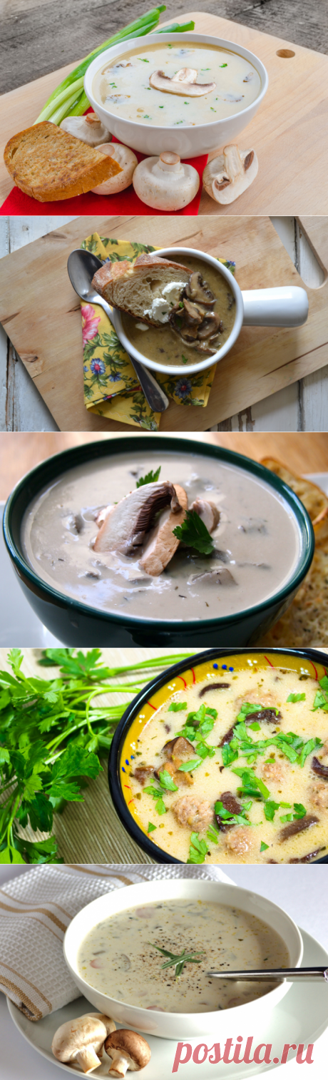 6 лучших оригинальных грибных супов
