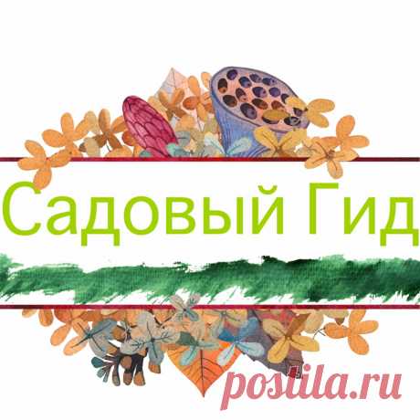 Садовый гид с ларисой Фишка это подборка лайфхаков для дома. Разные полезные хитрости на каждый день про уборку, стирку, уход за вещами, как мыть, убрать, почистить, а также поздравления и идеи подарков.