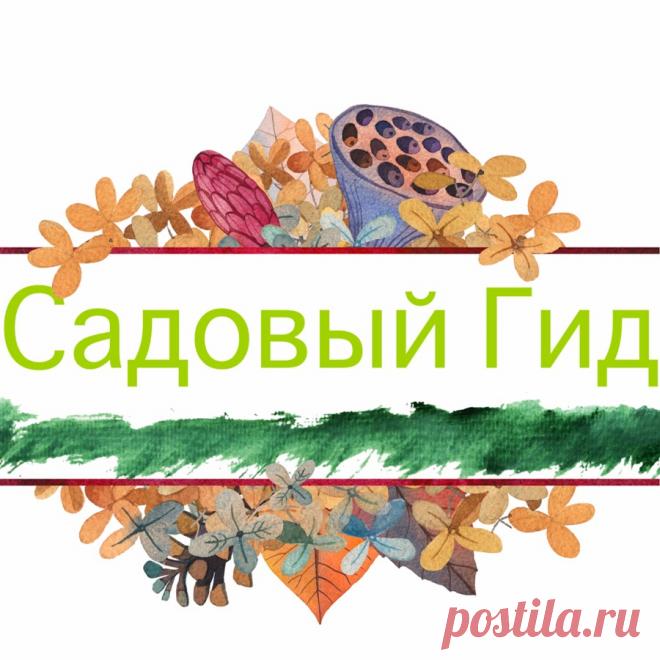 Садовый гид с ларисой Фишка это подборка лайфхаков для дома. Разные полезные хитрости на каждый день про уборку, стирку, уход за вещами, как мыть, убрать, почистить, а также поздравления и идеи подарков.