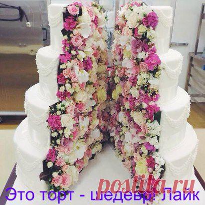 САХАРНАЯ МАСТИКА. Все секреты приготовления!
 ЗЕФИРНАЯ МАСТИКА
 "САХАРНО-ЖЕЛАТИНОВАЯ МАСТИКА
 МАСТИКА ДЛЯ ПОКРЫТИЯ
 ШОКОЛАДНАЯ МАСТИКА
ШОКОЛАДНО-МАРШМЕЛЛОВАЯ МАСТИКА
 САХАРНАЯ ПАСТА
 ЖЕЛАТИНОВАЯ МАСТИКА
МАСТИКА НА ЖЕЛАТИНЕ... http://smak22.jimdo.com/кондитерская/12стр/