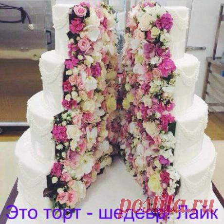 САХАРНАЯ МАСТИКА. Все секреты приготовления!
 ЗЕФИРНАЯ МАСТИКА
 &quot;САХАРНО-ЖЕЛАТИНОВАЯ МАСТИКА
 МАСТИКА ДЛЯ ПОКРЫТИЯ
 ШОКОЛАДНАЯ МАСТИКА
ШОКОЛАДНО-МАРШМЕЛЛОВАЯ МАСТИКА
 САХАРНАЯ ПАСТА
 ЖЕЛАТИНОВАЯ МАСТИКА
МАСТИКА НА ЖЕЛАТИНЕ... https://smak22.jimdo.com/кондитерская/12стр/