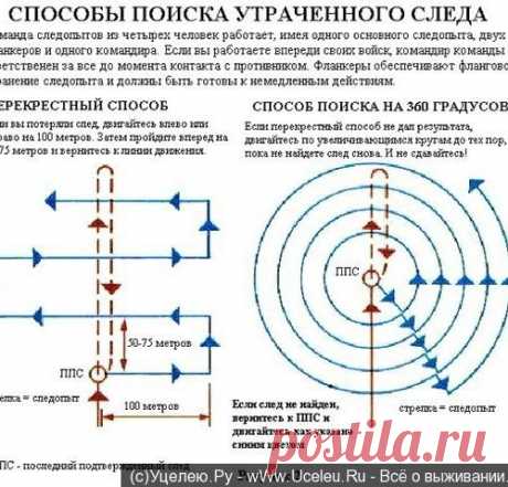 СЛЕДОПЫТСТВО. АЗЫ