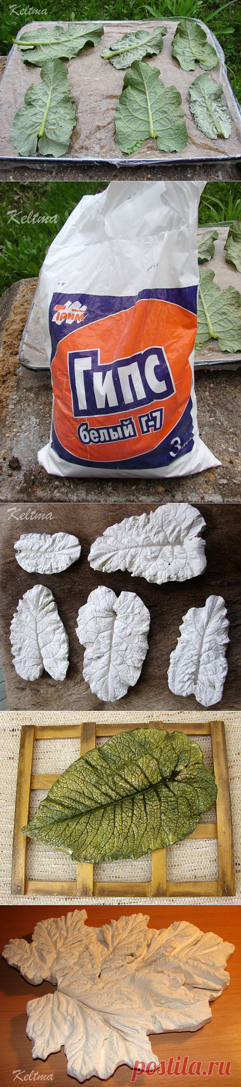 Мастер-класс &quot;Листья из гипса&quot;