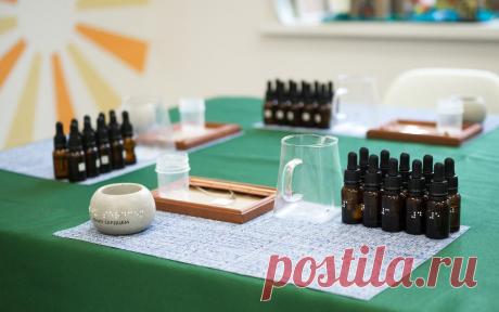 В Москве открылась академия парфюмерии для незрячих детей. На базе Центра социальной интеграции Дианы Гурцкая на Большой Почтовой улице в Москве открылась уникальная в своем роде академия, где слабовидящих ребят 6–14 лет будут учить создавать эксклюзивные запахи для ароматических свечей.