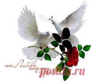 прощенное воскресенье - Bing images