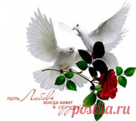 прощенное воскресенье - Bing images