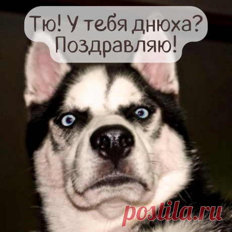 Поздравляю с днюхой (Открытка 849): Бесплатные картинки &amp;#8226; Otkrytki.Top