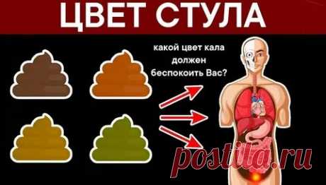 ВСЕ БОЛЕЗНИ ПО ЦВЕТУ КАЛА: 2 тыс изображений найдено в Яндекс Картинках