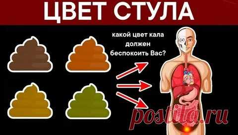 ВСЕ БОЛЕЗНИ ПО ЦВЕТУ КАЛА: 2 тыс изображений найдено в Яндекс Картинках